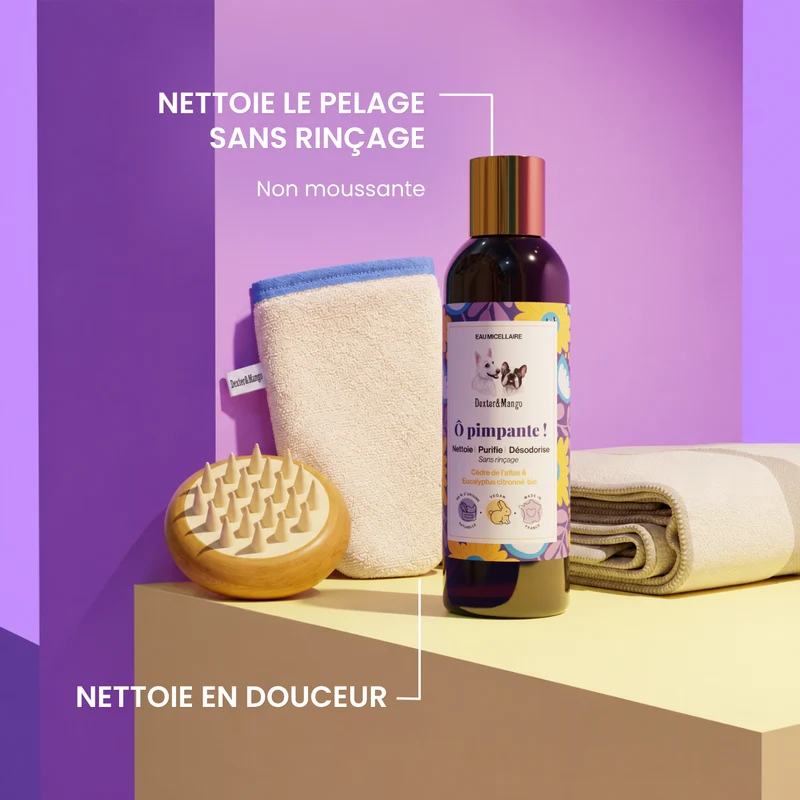 Duo Ô Pimpante ! & Gant
