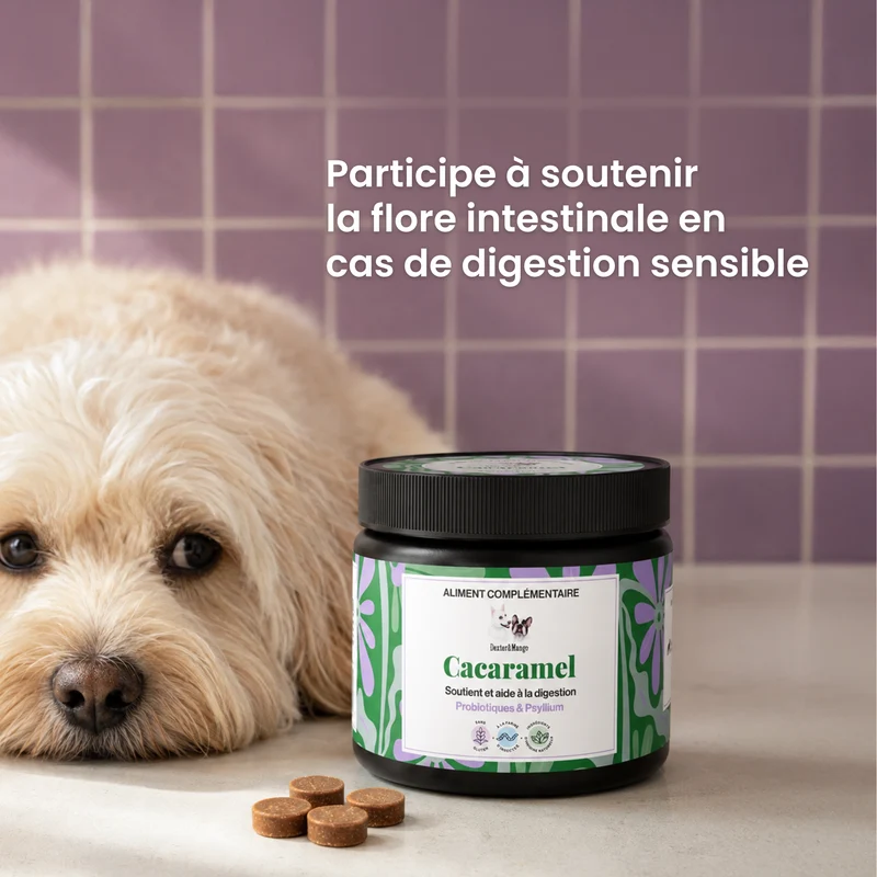 Cacaramel : Aliment complémentaire digestion