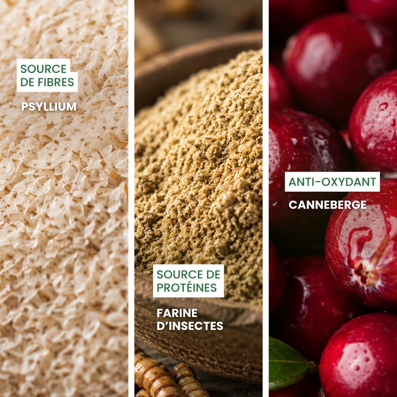 Cacaramel : Aliment complémentaire digestion
