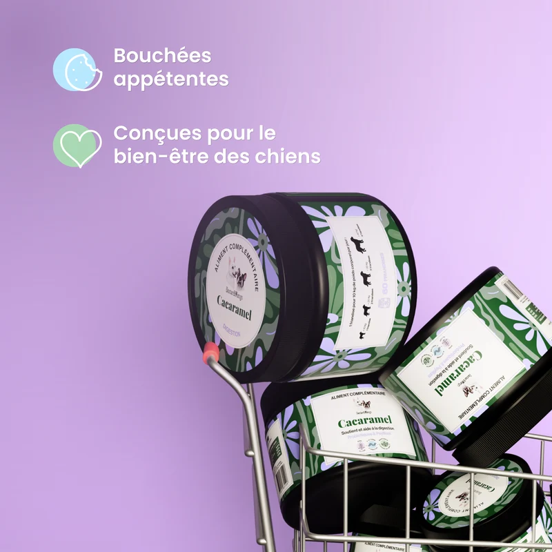 Cacaramel : Aliment complémentaire digestion