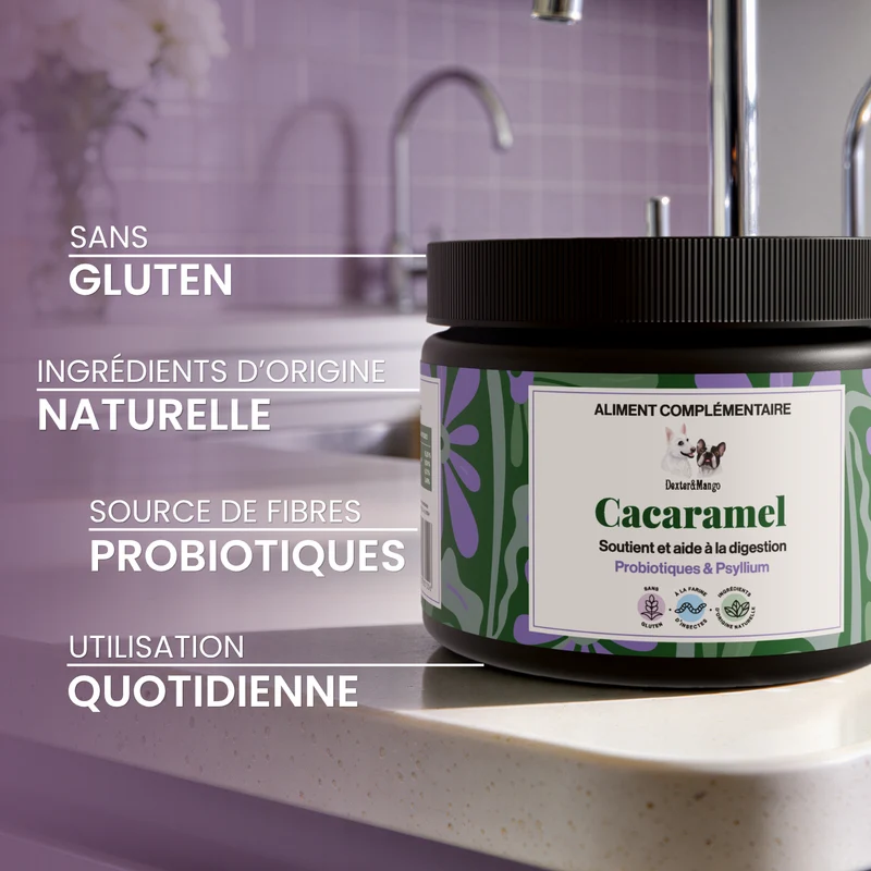 Cacaramel : Aliment complémentaire digestion