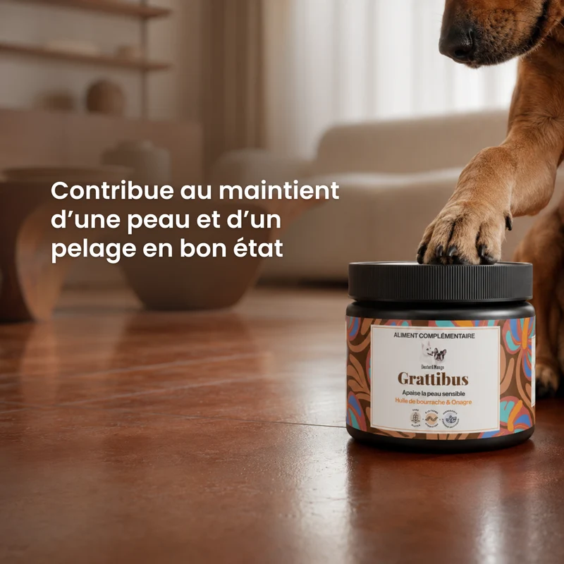 Grattibus : Aliment complémentaire confort cutané