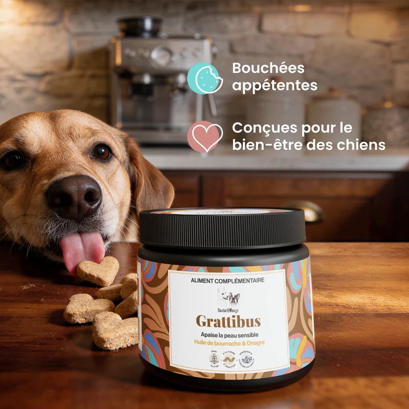 Grattibus : Aliment complémentaire confort cutané