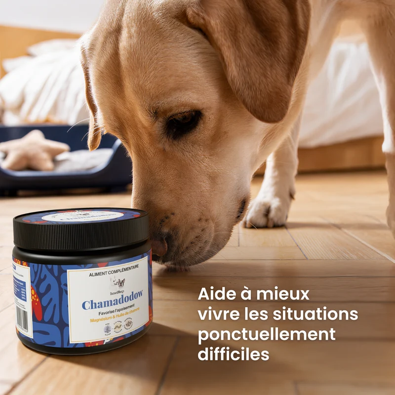 Chamadodow : Aliment complémentaire sérénité