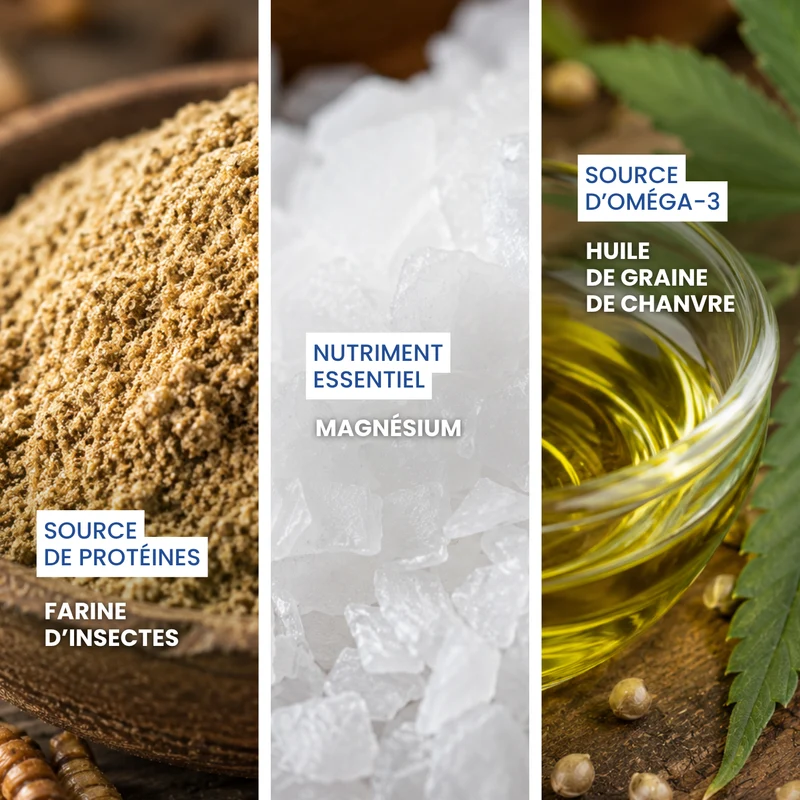 Chamadodow : Aliment complémentaire sérénité