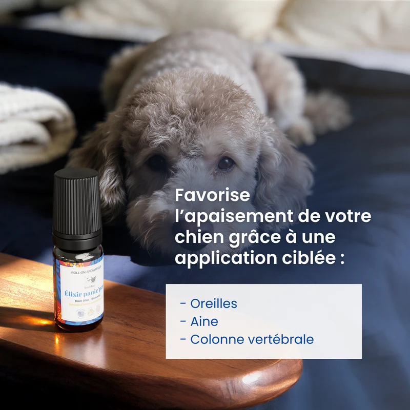 Élixir Panic’paw : Roll-on sérénité