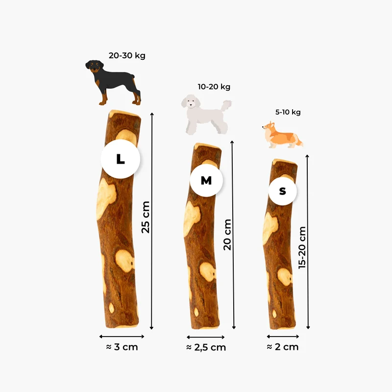 Bâton d’olivier : La mastication longue durée pour chien