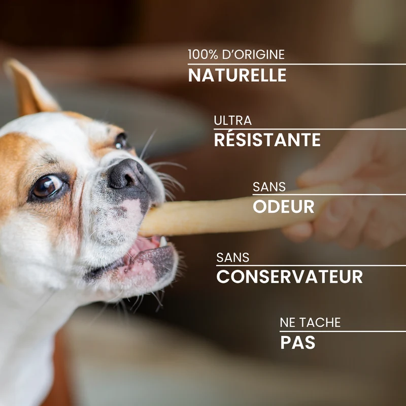 Barre fromagère : La mastication longue durée pour chien