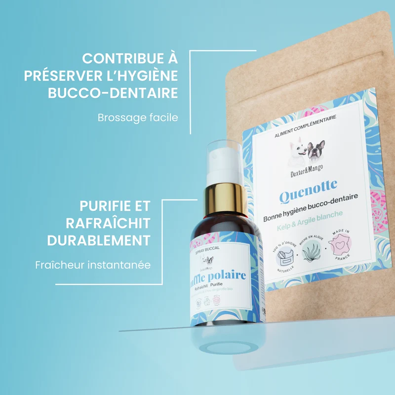 Routine dentaire