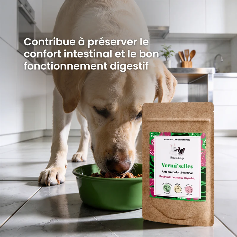 Vermi'selles : Aliment complémentaire digestion