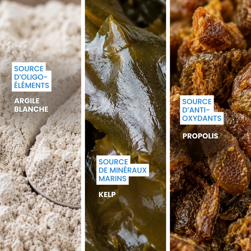 Quenotte : Aliment complémentaire dentaire