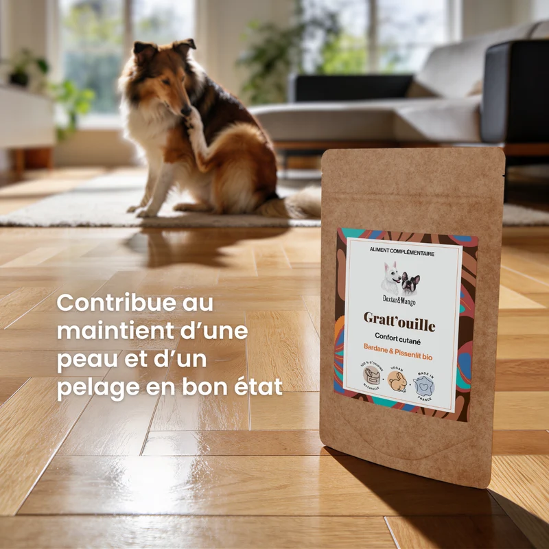 Gratt'ouille : Aliment complémentaire confort cutané
