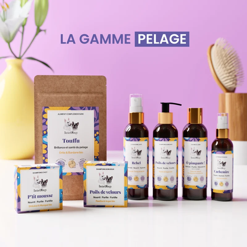 Shampoing Poils de velours : Soin doux