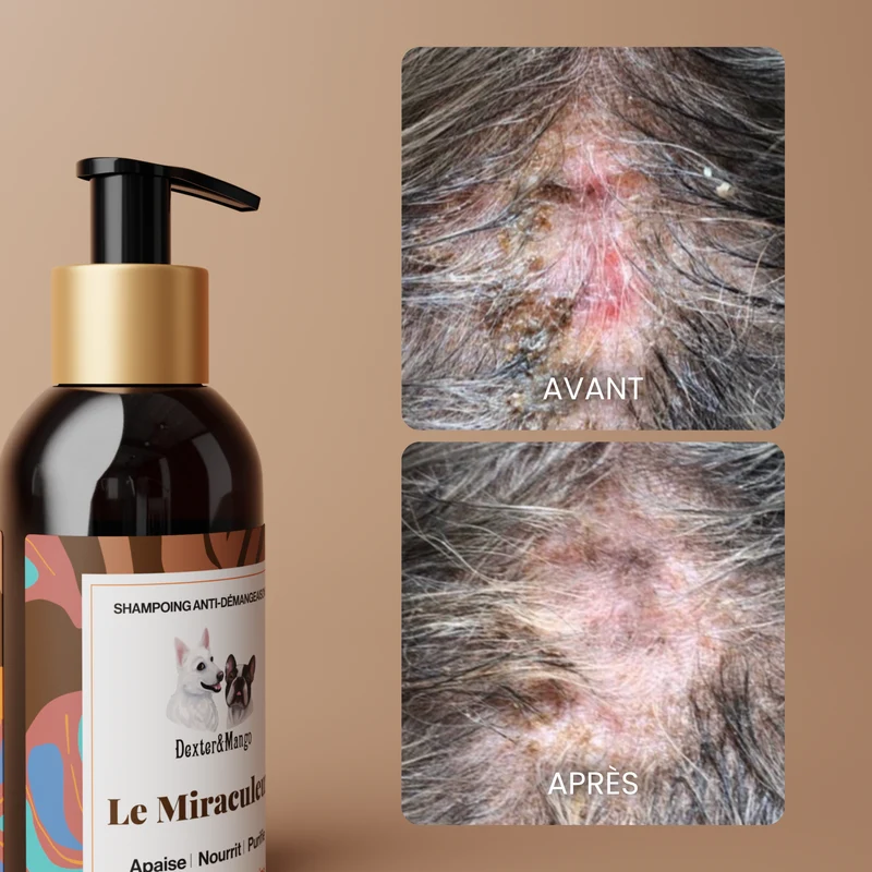 Shampoing Le Miraculeux : Confort cutané