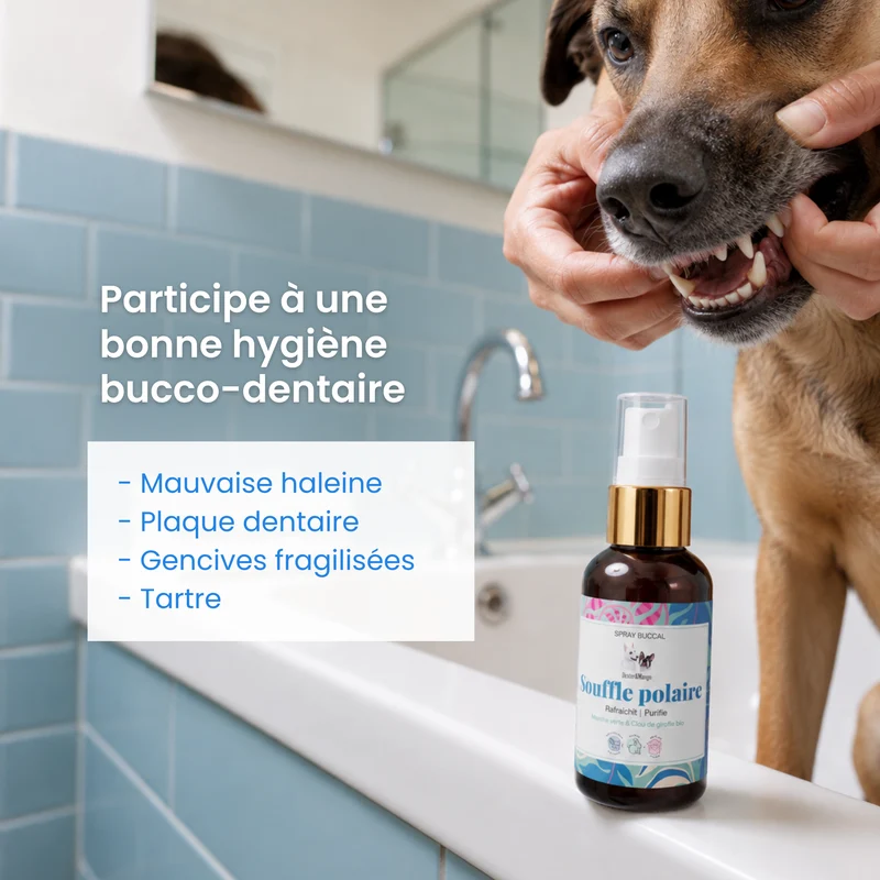 Souffle polaire : Spray buccal
