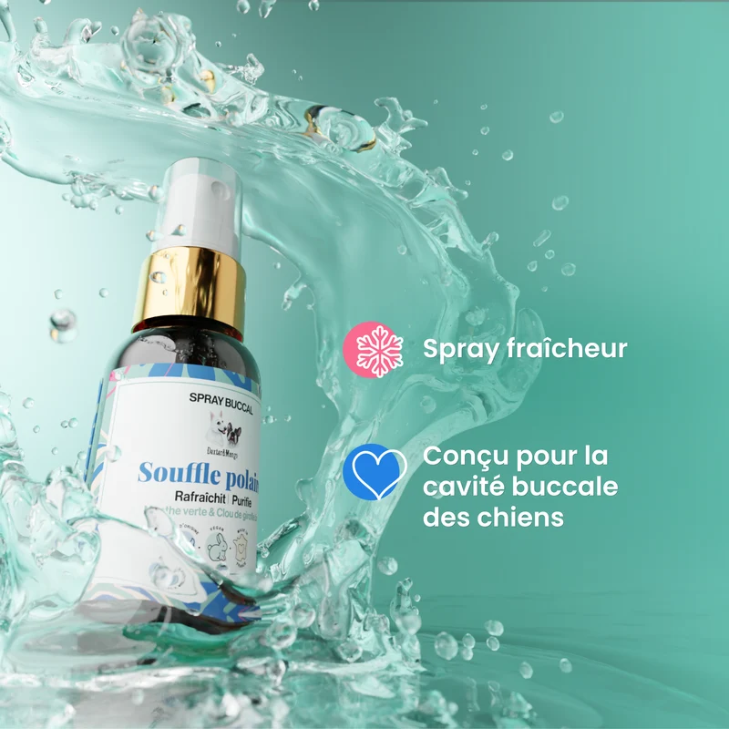 Souffle polaire : Spray buccal