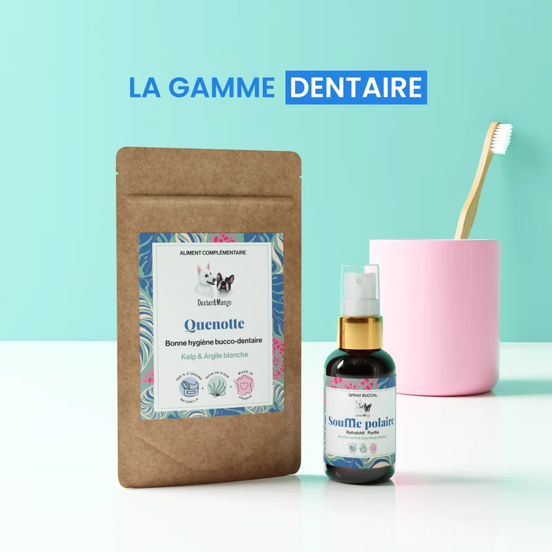 Souffle polaire : Spray buccal