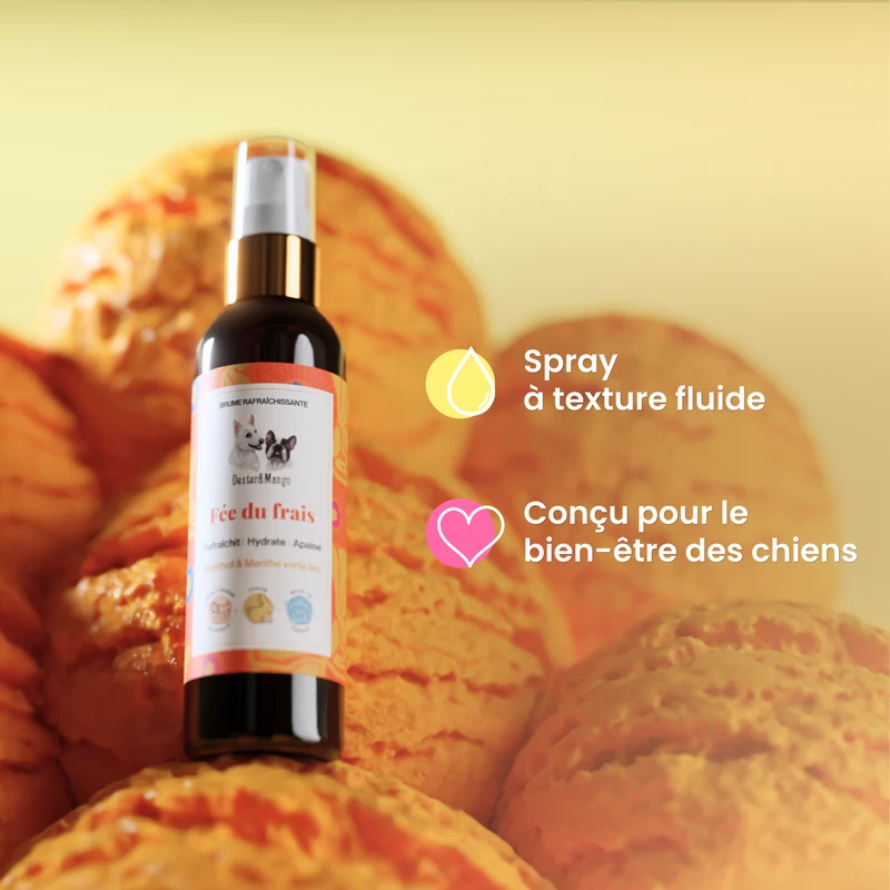 Fée du frais : Brume rafraîchissante