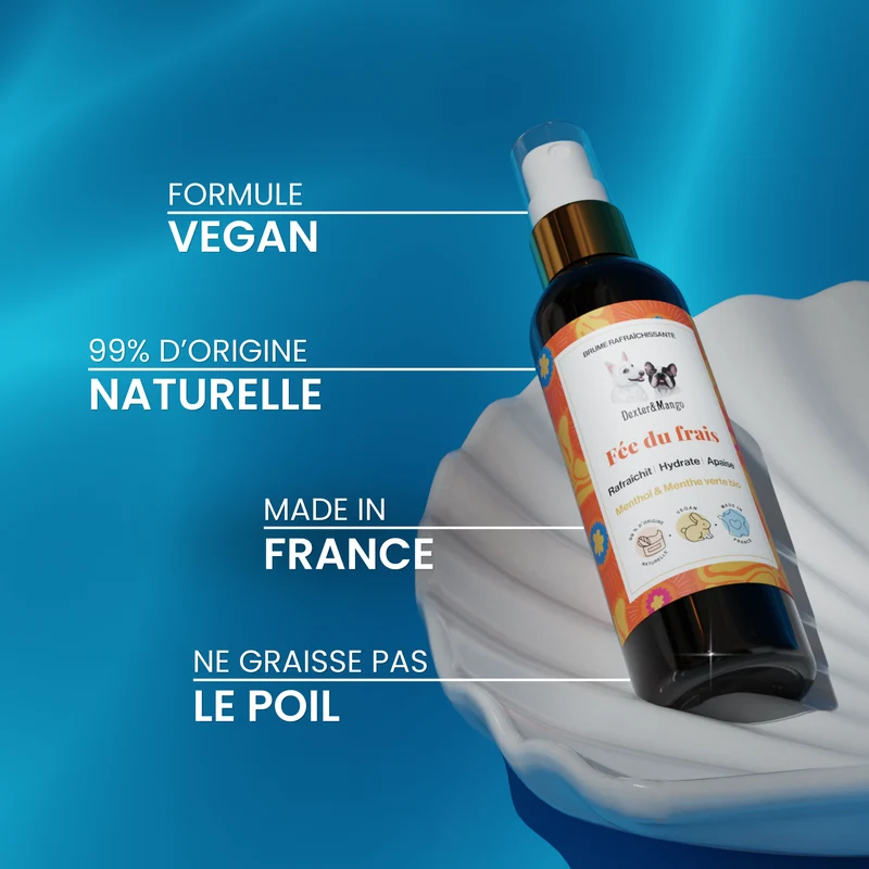 Fée du frais : Brume rafraîchissante