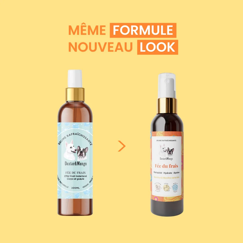 Fée du frais : Brume rafraîchissante
