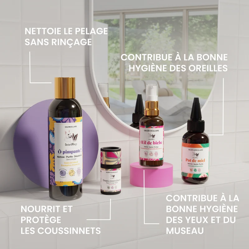 Trousse Indispensable