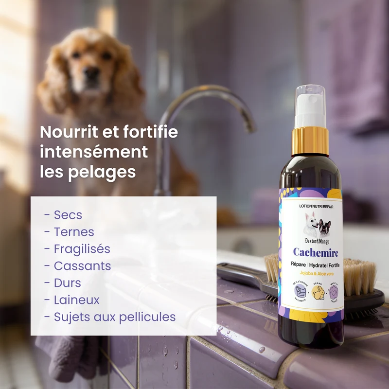 Cachemire : Lotion nutri-repair