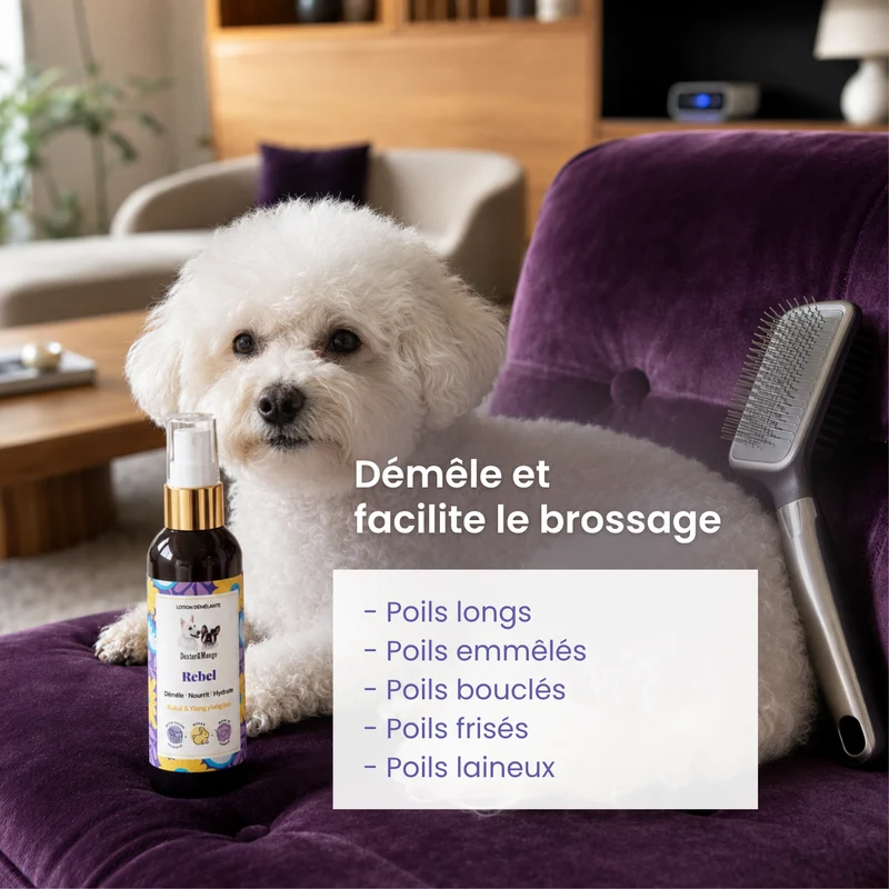 Rebel : Lotion démêlante