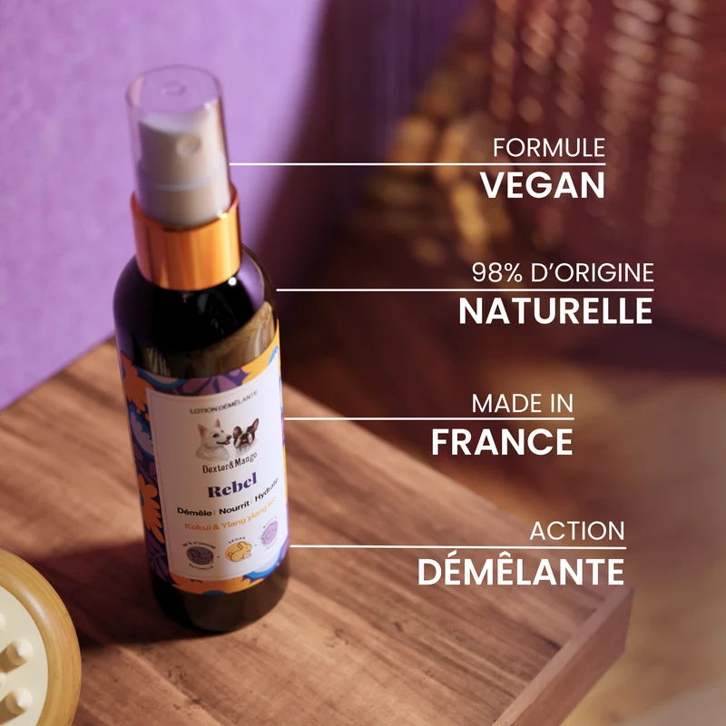Rebel : Lotion démêlante