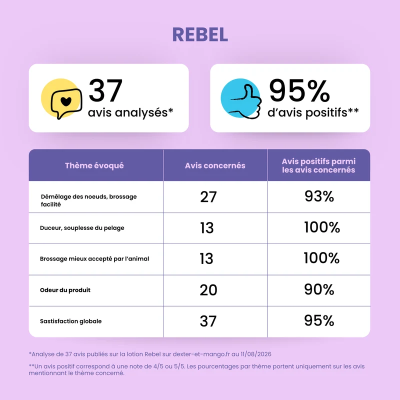Rebel : Lotion démêlante