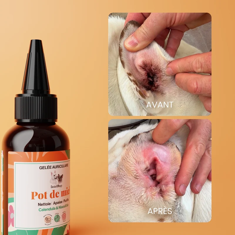 Pot de miel : Gelée auriculaire pour chien