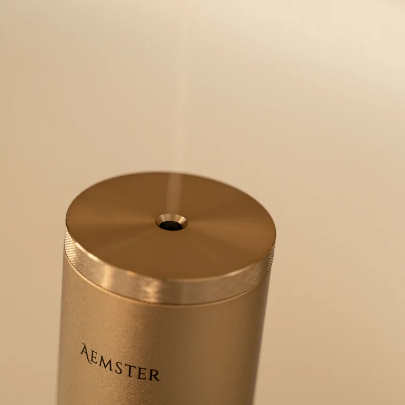 Bundle: Haevn Charge Gold starter set – Diffuser + Wanaka Woods scent (15 ml)