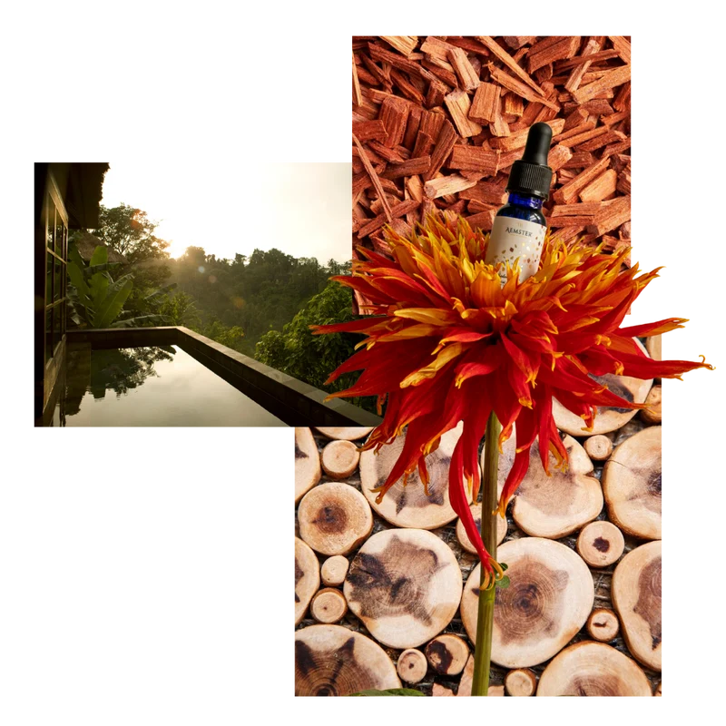 Ubud Oud - Scent oil