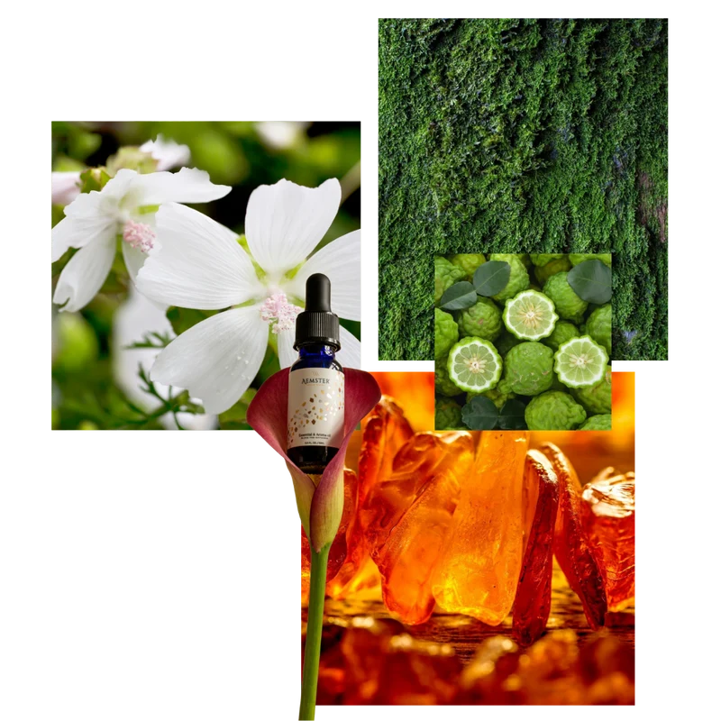 Velvet Woods - Scent oil