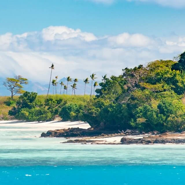 Fiji Figs - Scent oil