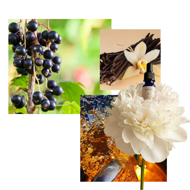Vanilla Valley - Scent oil