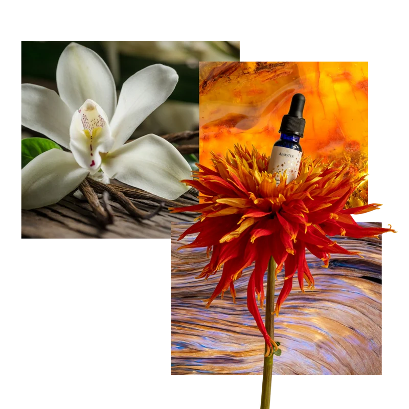 Santal Solscape - Scent oil