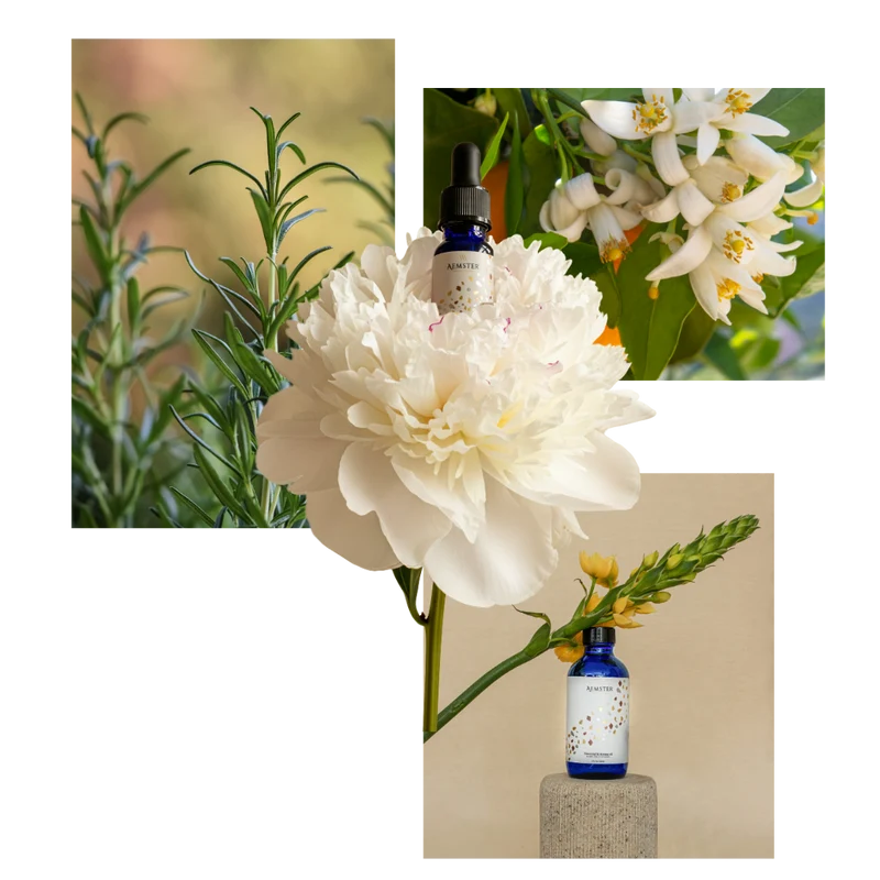 Lemon Lagunas - Scent oil