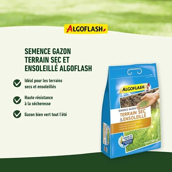 Algoflash Frön Semsol3 Gräs Medelhavs 3 Kg SEMSOL3