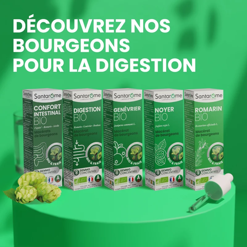 Macérat de Bourgeons - Genévrier Bio