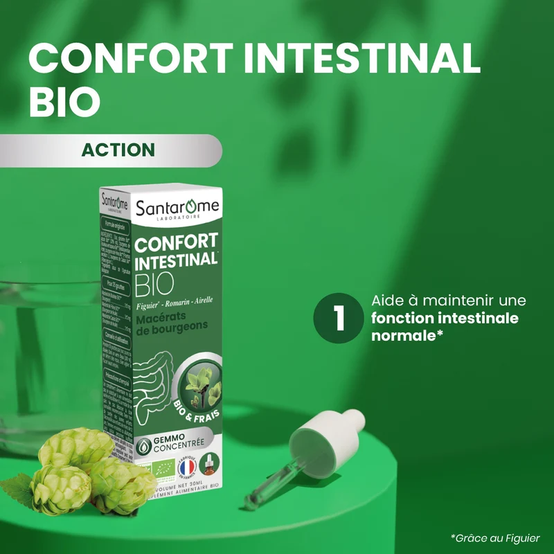 Macérat de Bourgeons - Confort Intestinal Bio