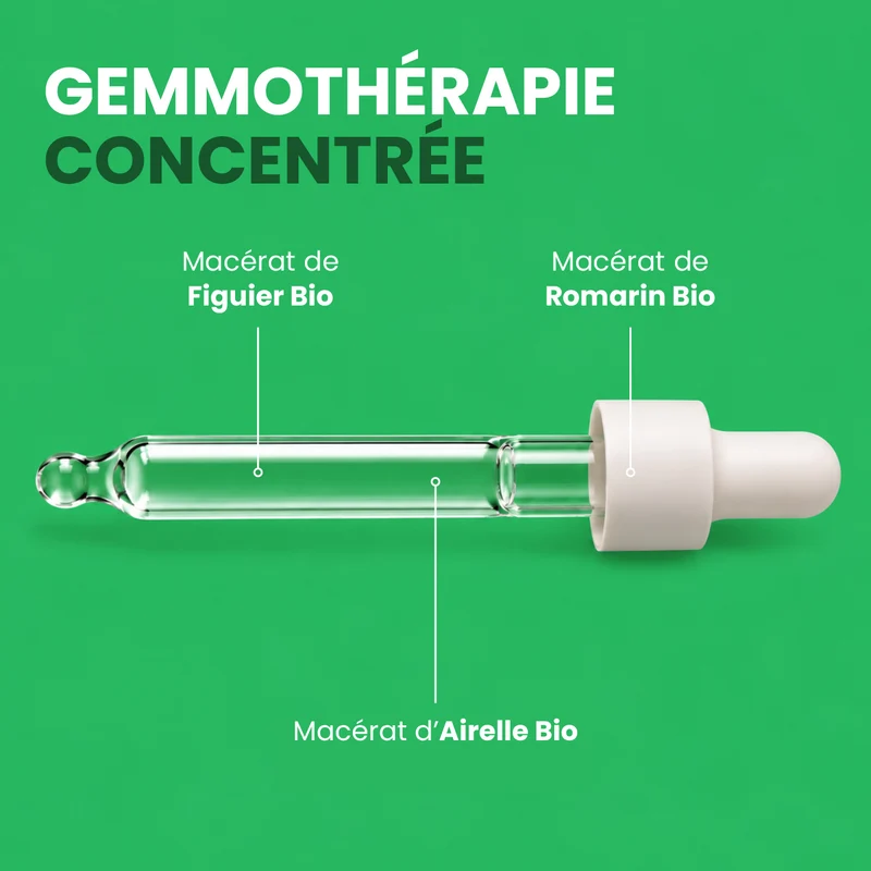 Macérat de Bourgeons - Confort Intestinal Bio