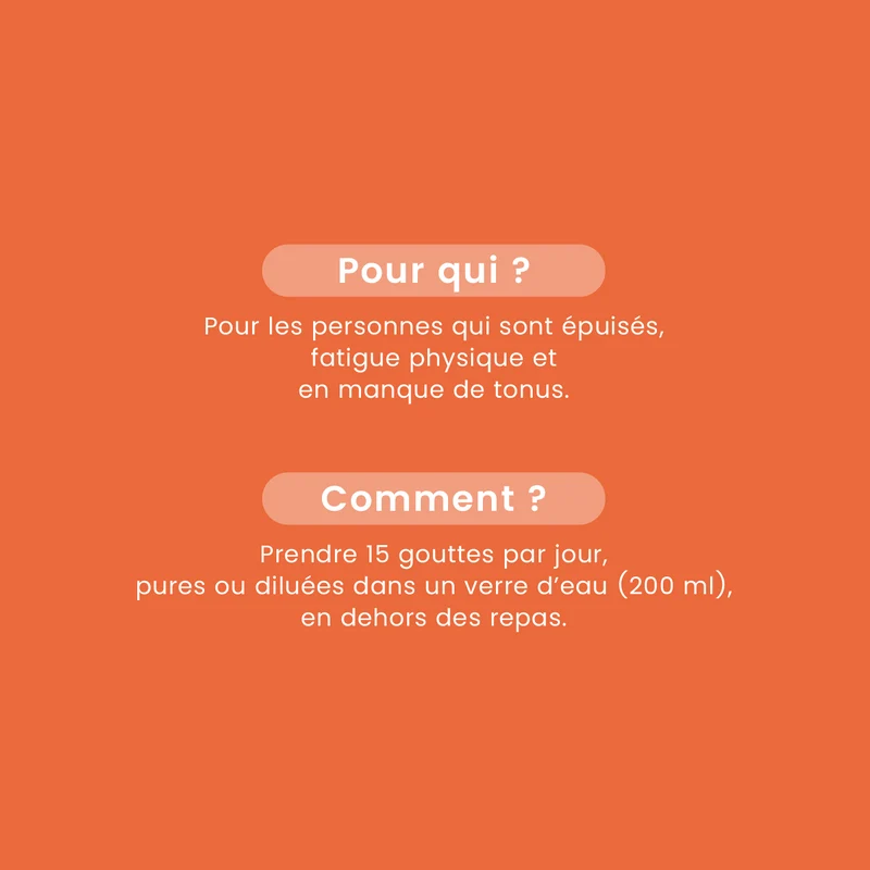 Macérat de Bourgeons - Chêne Bio