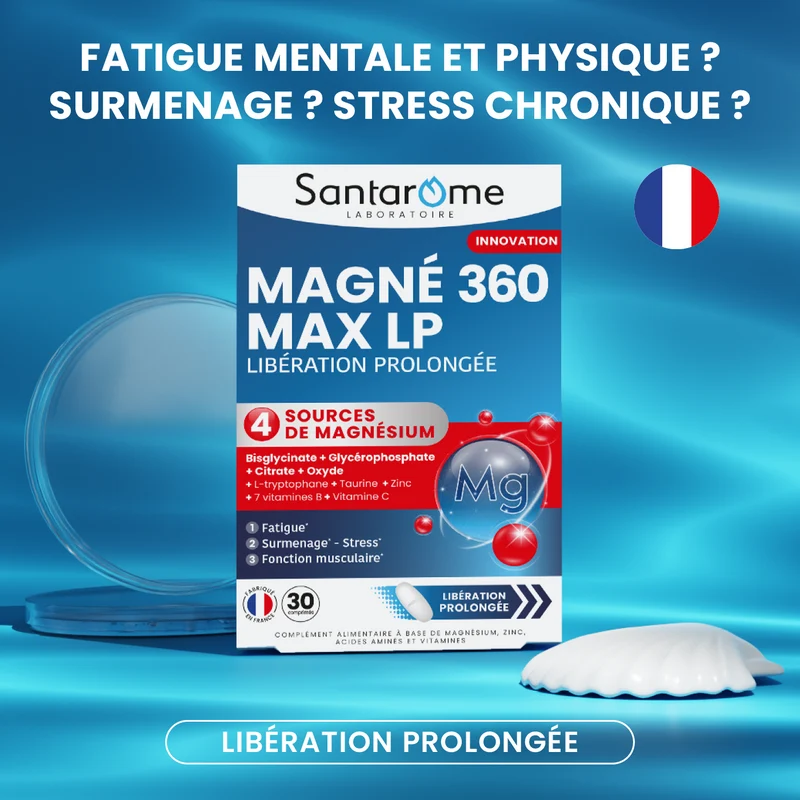 Pack Mémoire et Concentration - Lion's Mane + Magnésium