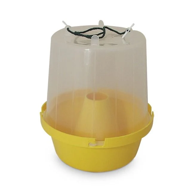 Eradi Wasp Pot