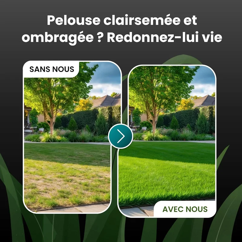 LERAVA Turbo Gazon à Semer 30m²
