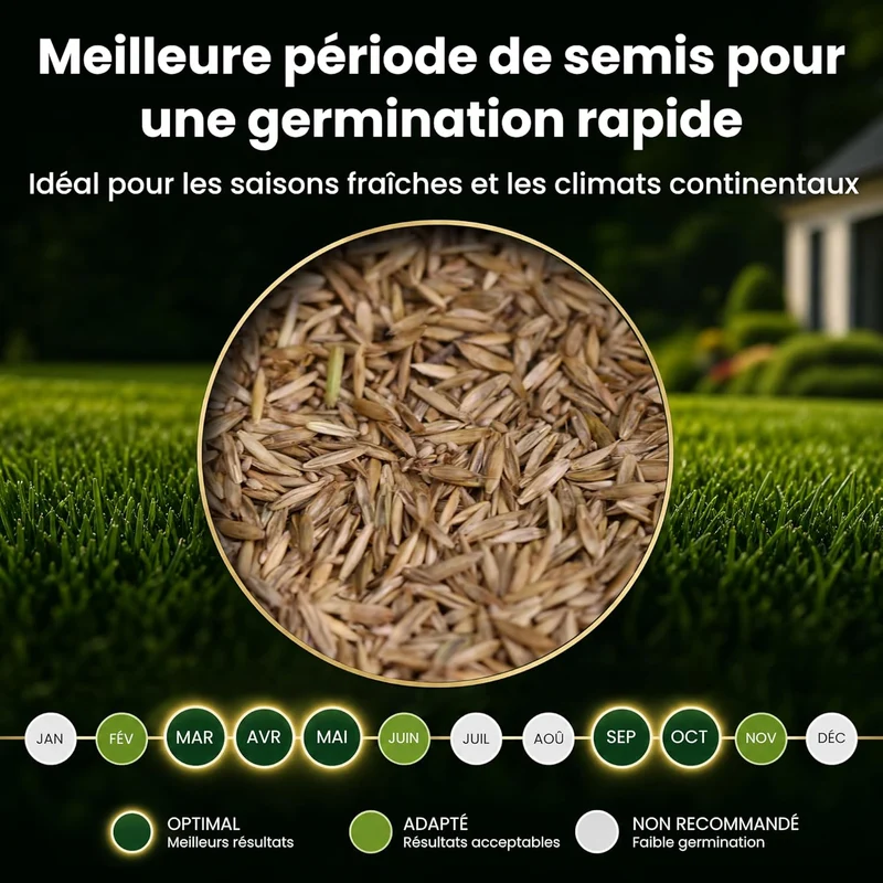 LERAVA Turbo Gazon à Semer 30m²