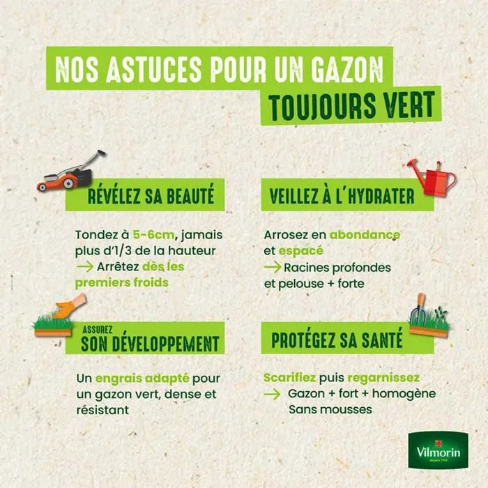 Vilmorin Graines de gazon Terrain Sec 3kg 120-180m²