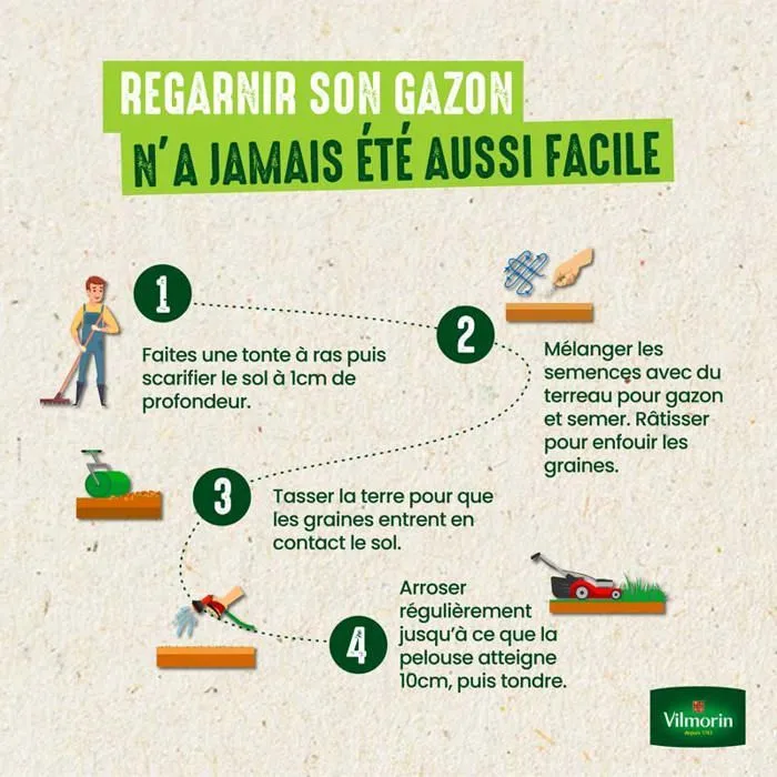 Vilmorin Graines de gazon Ultra Résistant 250g 10-15m²