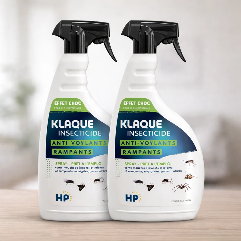 Lot de 2 K Laques - Insecticide Professionnel Ultra-Efficace pour Insectes Volants et Rampants