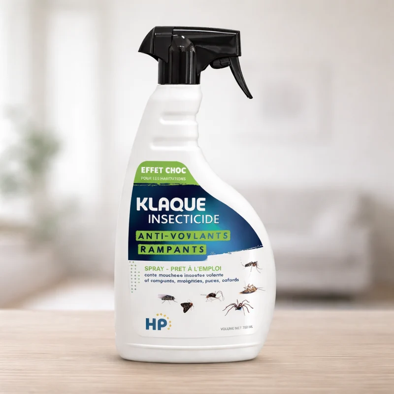 K Laque - Insecticide Professionnel Ultra-Efficace pour Insectes Volants et Rampants